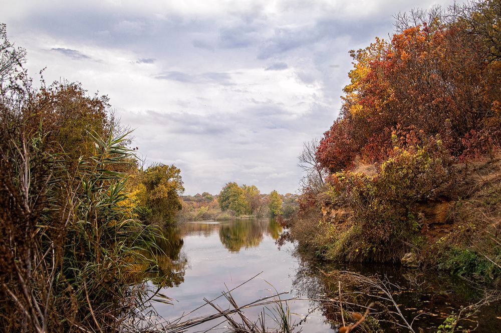 Photograph by Светлана Чужданова