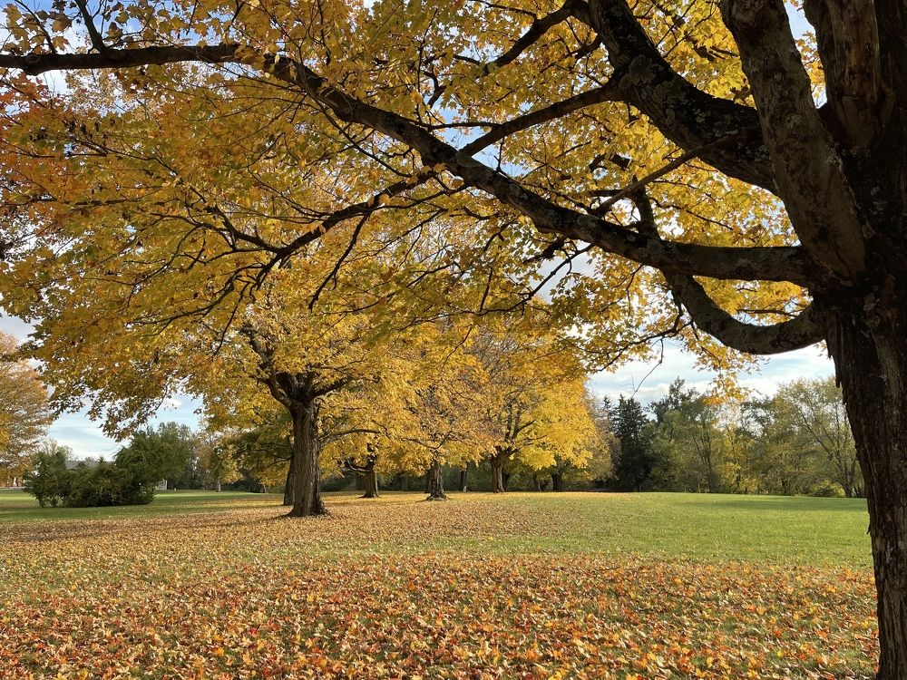 Photograph by Маргарита Венсил.