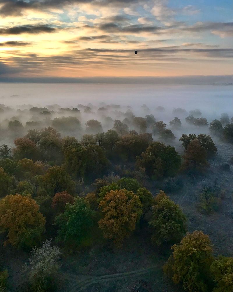 Photograph by Шестакова Наталья