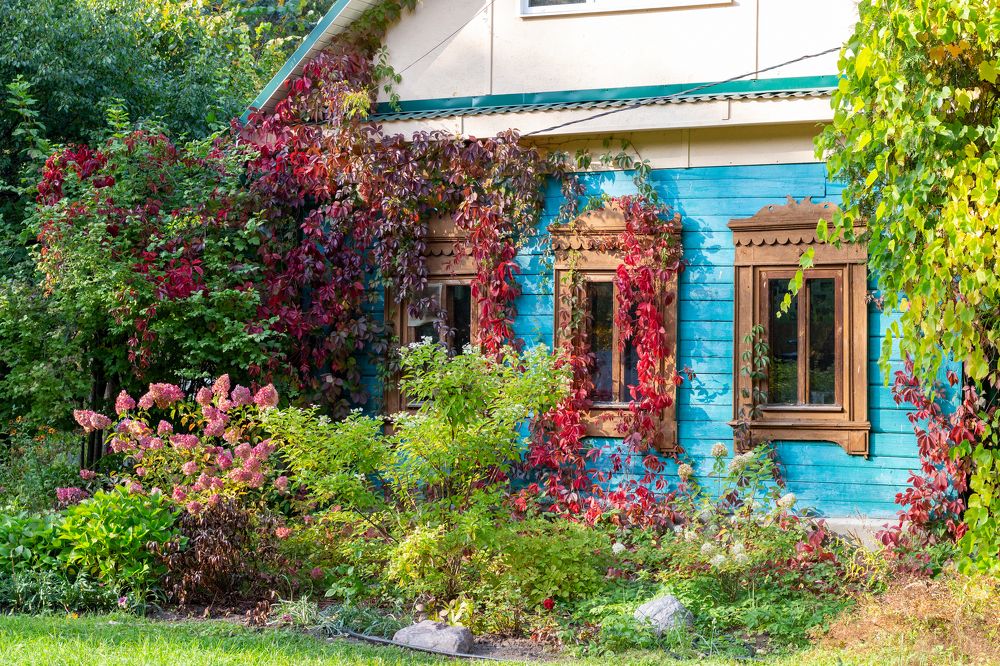 Photograph by Наталья Щербатюк