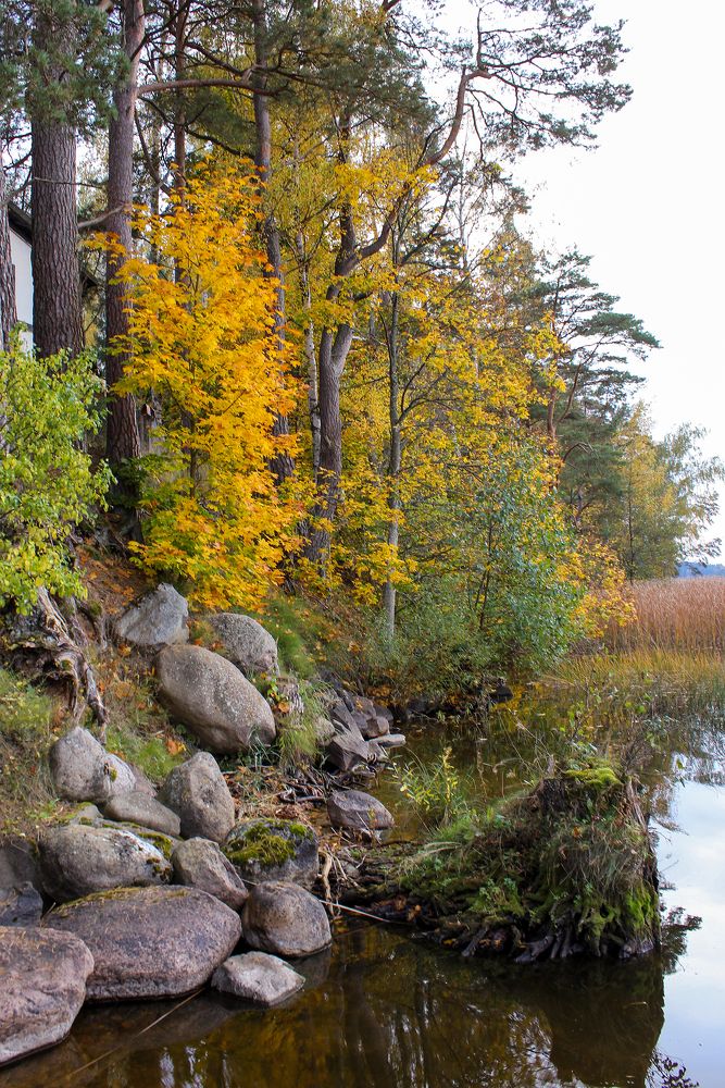 На озере Важа