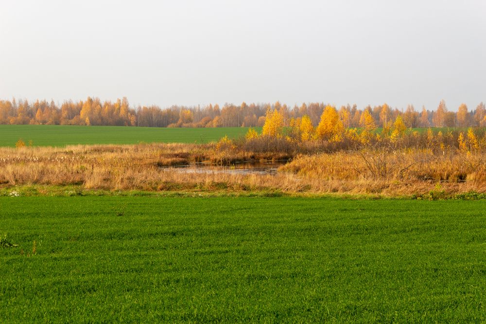 Photograph by Наталья Щербатюк