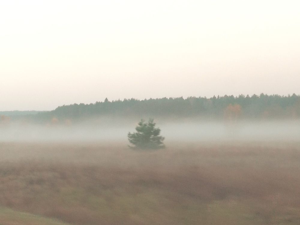 Photograph by Наталья Шалкевич