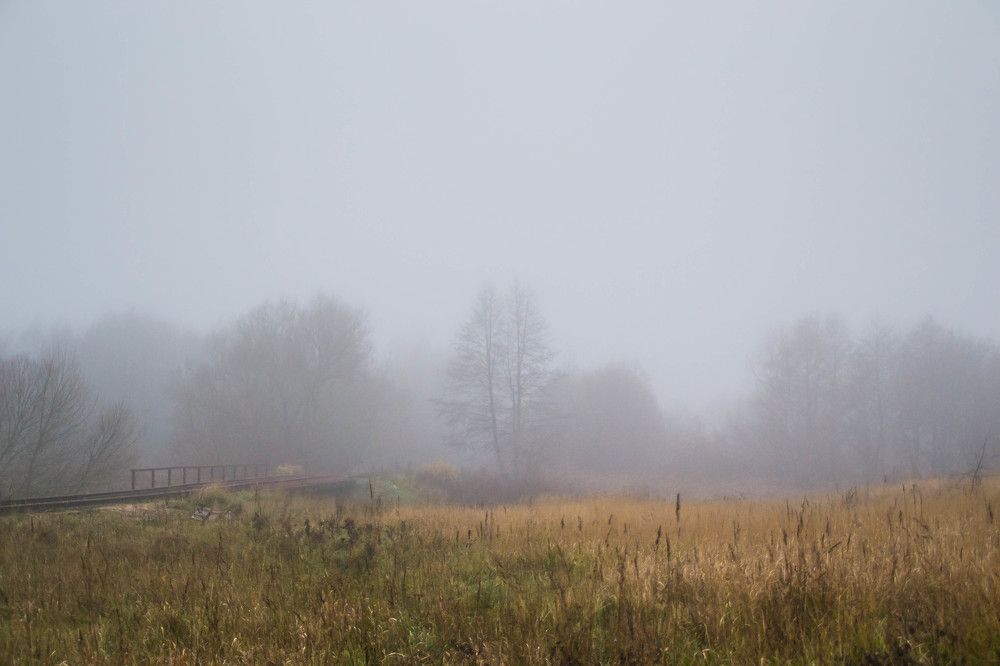 Фотография автора Юлия Кранина