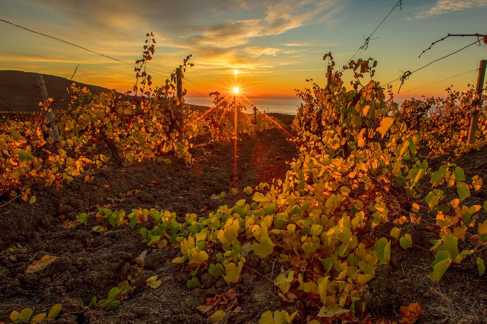 Photograph by Елена Гусева