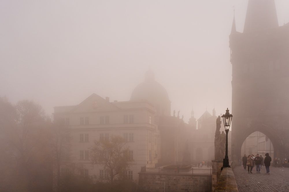 Photograph by Olga Tiurina