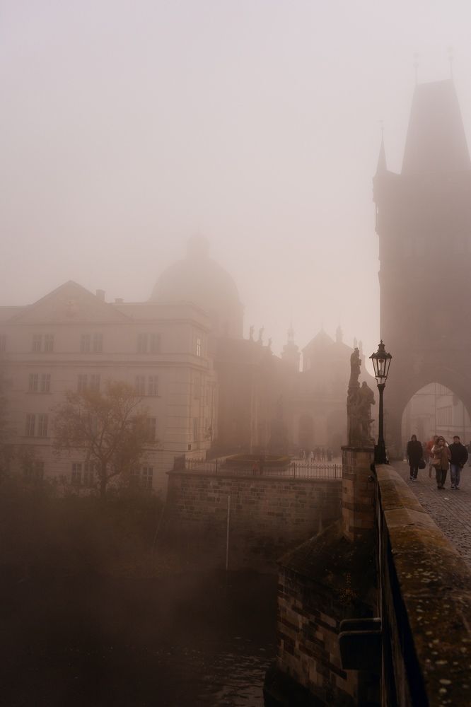 Photograph by Olga Tiurina