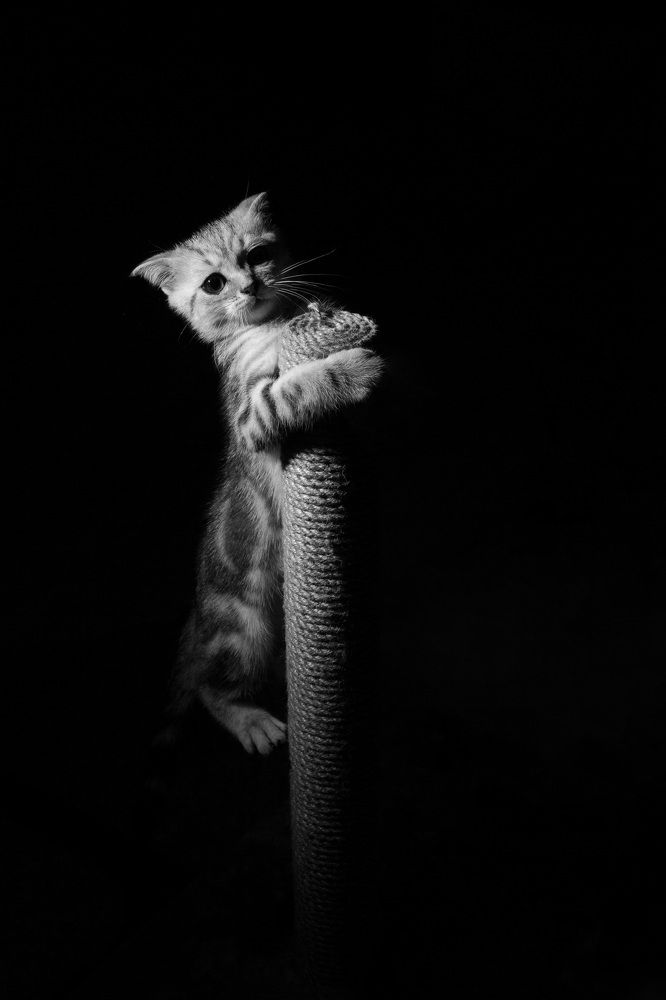 Photograph by Игорь Радионов