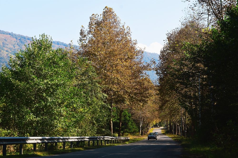 Photograph by Егор Колягин