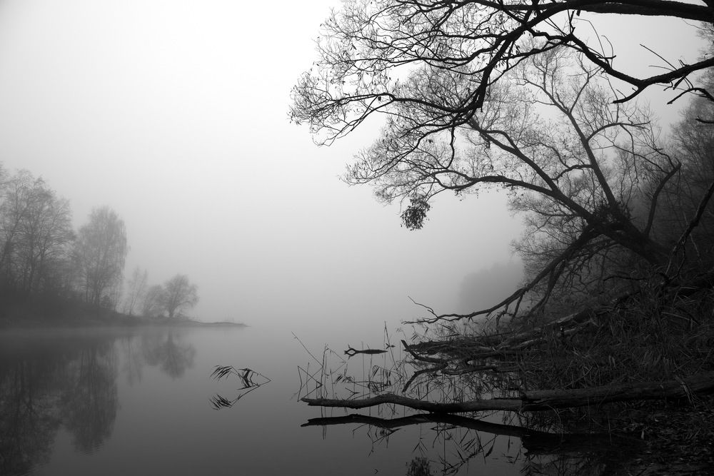 Photograph by Александр Кращук