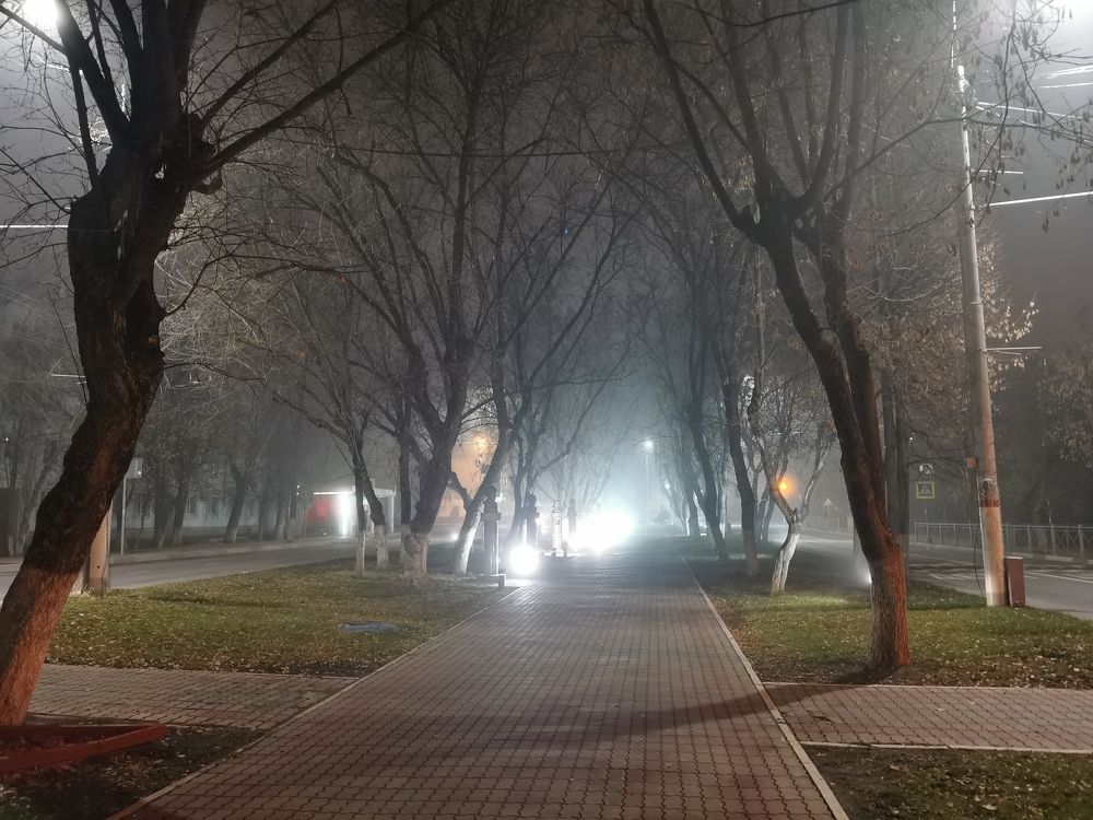 Photograph by Виталий Полозов