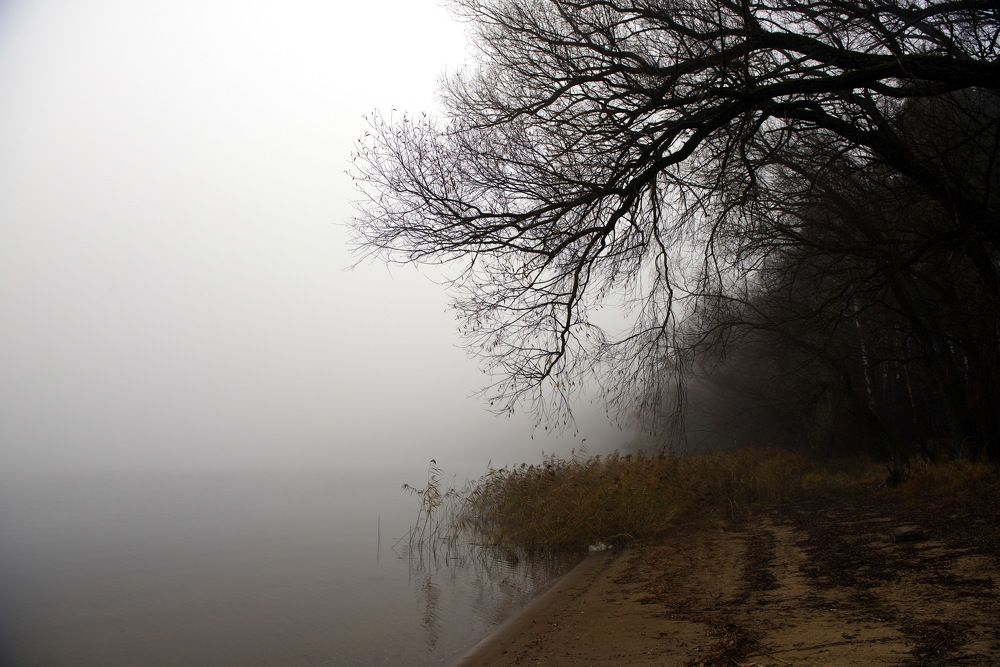 Photograph by Александр Кращук