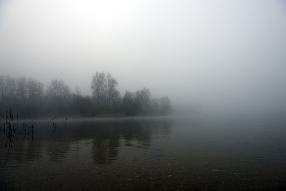 Photograph by Александр Кращук