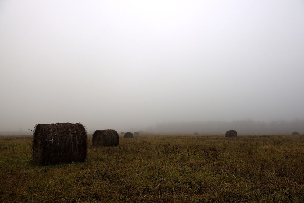 Photograph by Александр Кращук