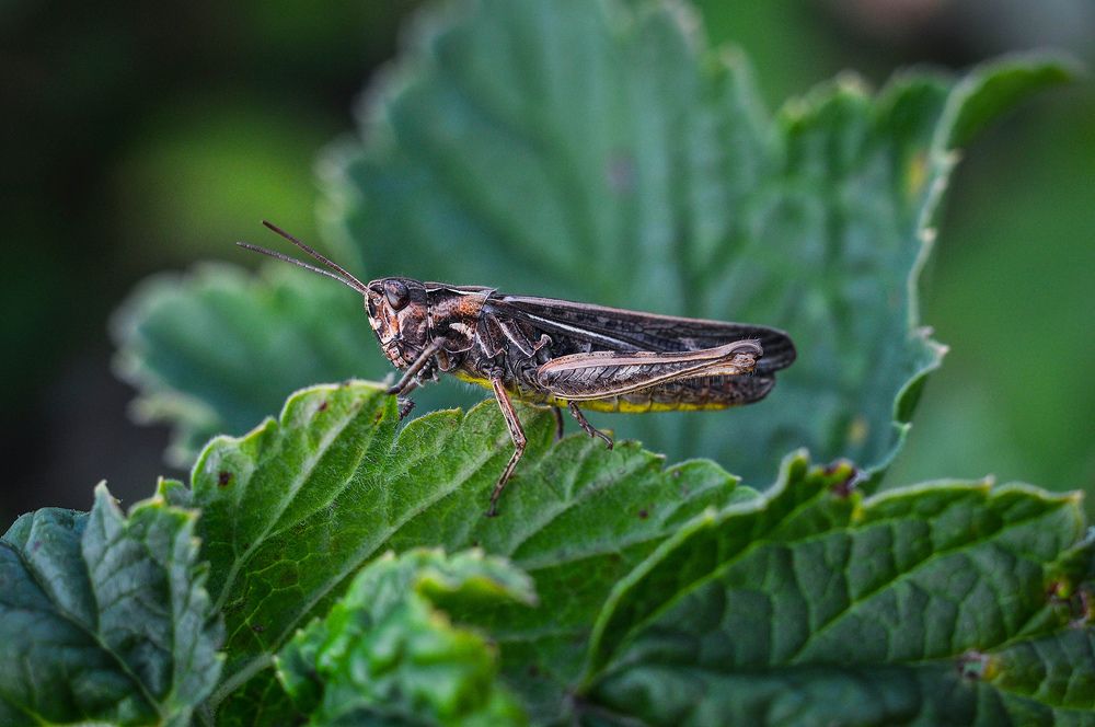 Photograph by Олеся zme