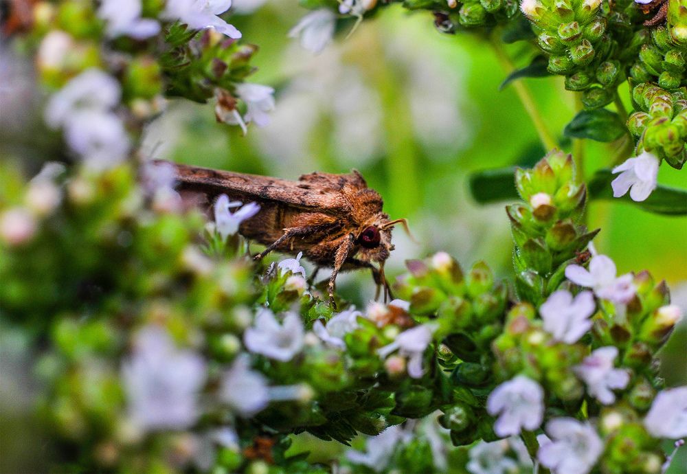 Photograph by Олеся zme