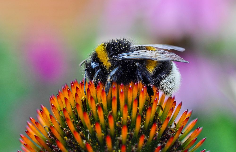 Photograph by Олеся zme