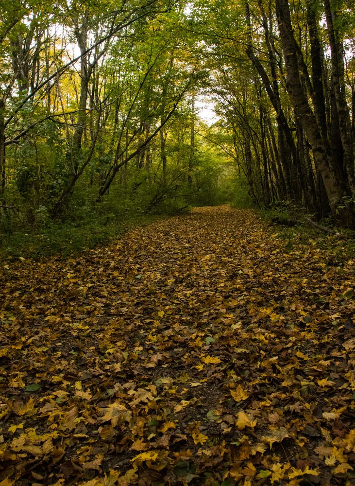 Photograph by Олег Башкуров