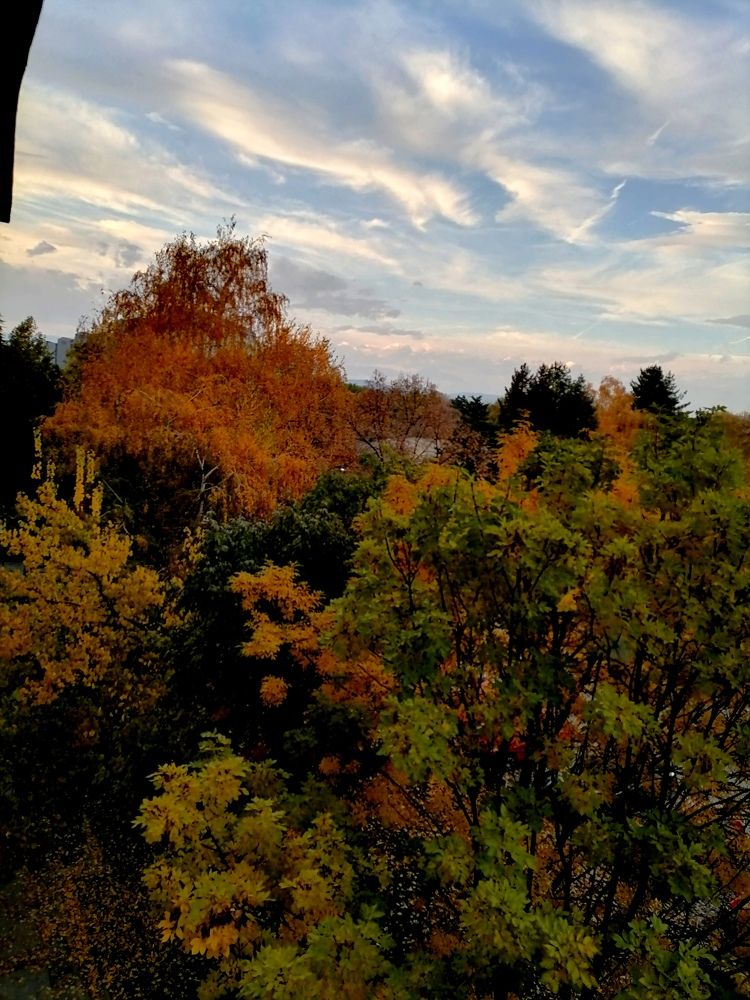 Photograph by Vesna Petkoska