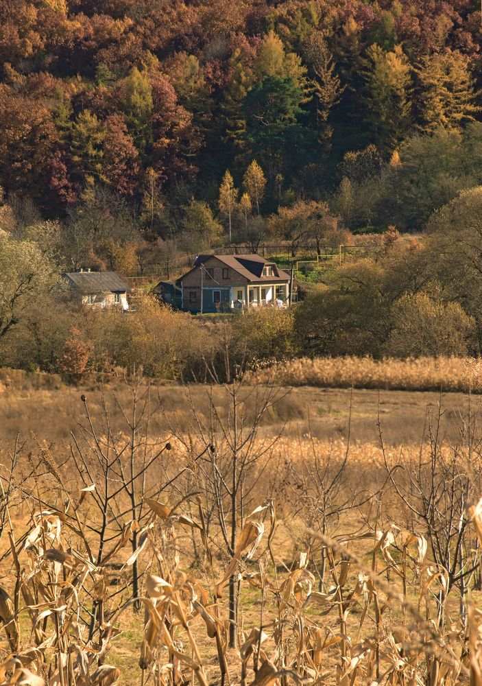 Photograph by Давид Тетельман