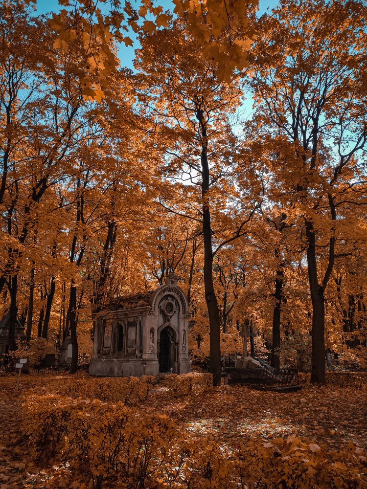 Фотография автора Екатерина Мишкель