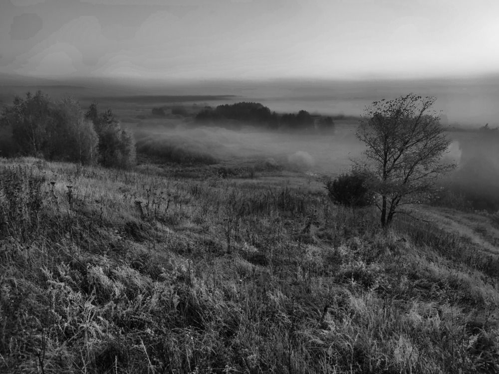 Photograph by Александр Мороз