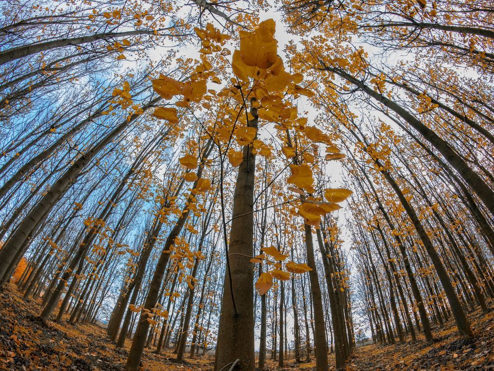 Photograph by ERDEM ARIF YIGIT