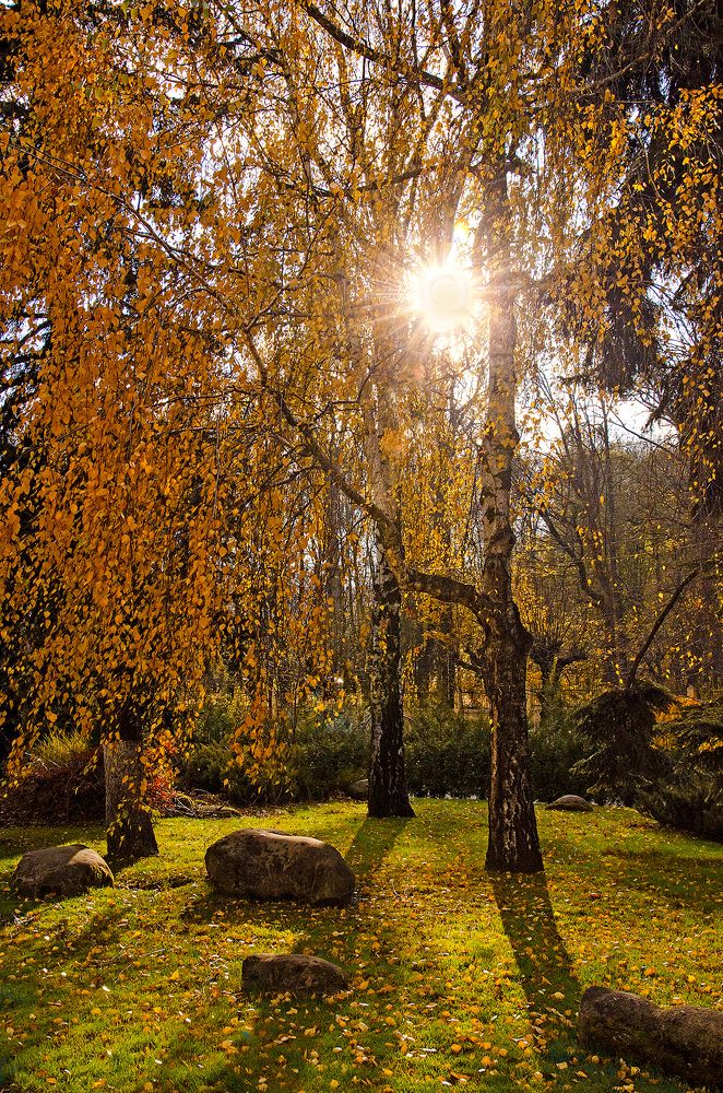 Photograph by Давид Тетельман