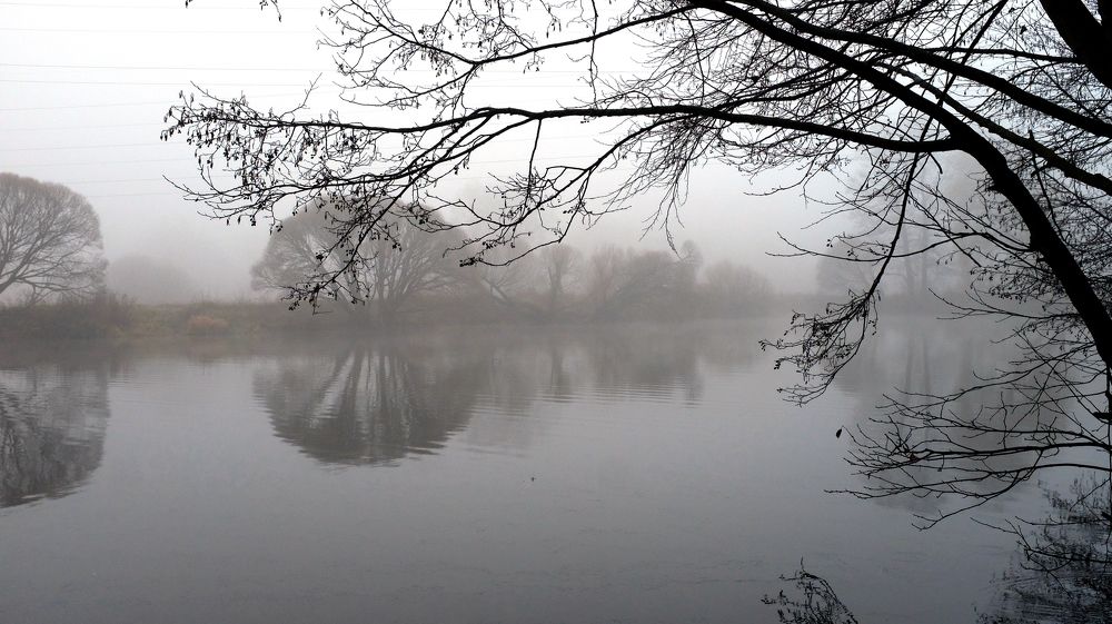 Photograph by Наталья Жигарева