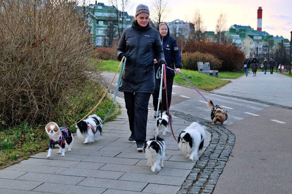 Дружная семейка