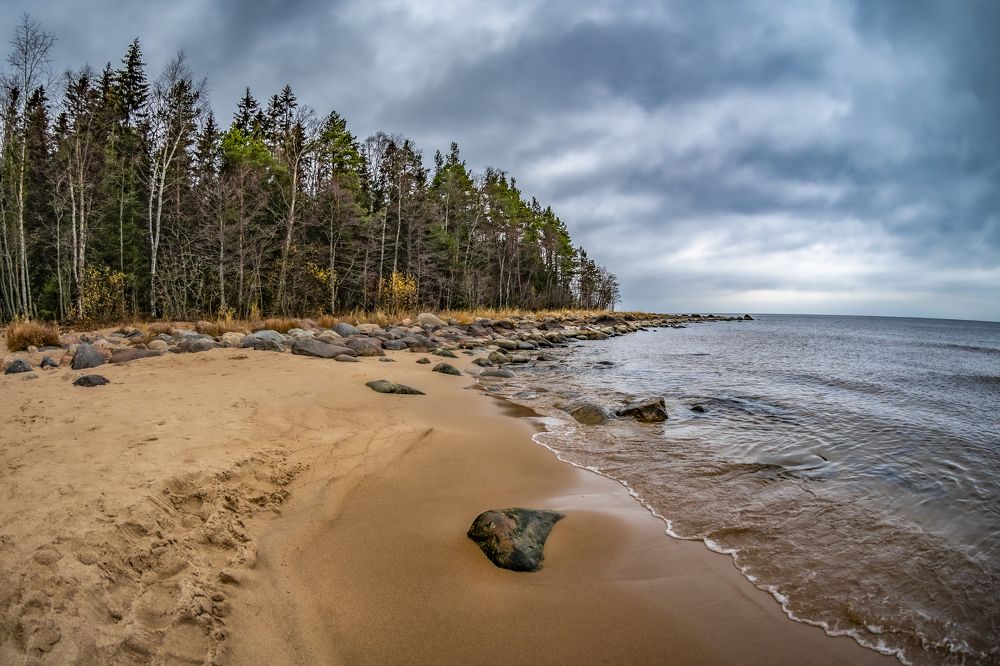 Берег Ладожского озера