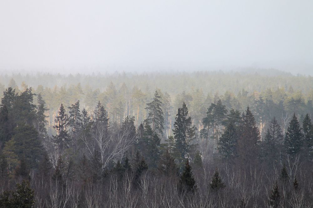 Photograph by Наталья Жигарева