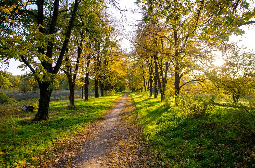 Фотография автора Тарас Гаркуша