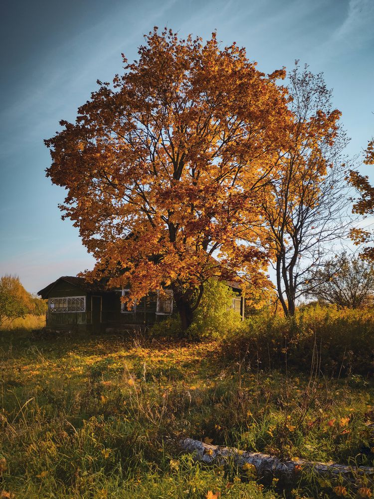 Photograph by Алёна Шматова