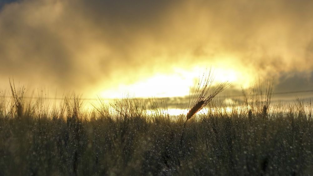 nebbia dopo la pioggia