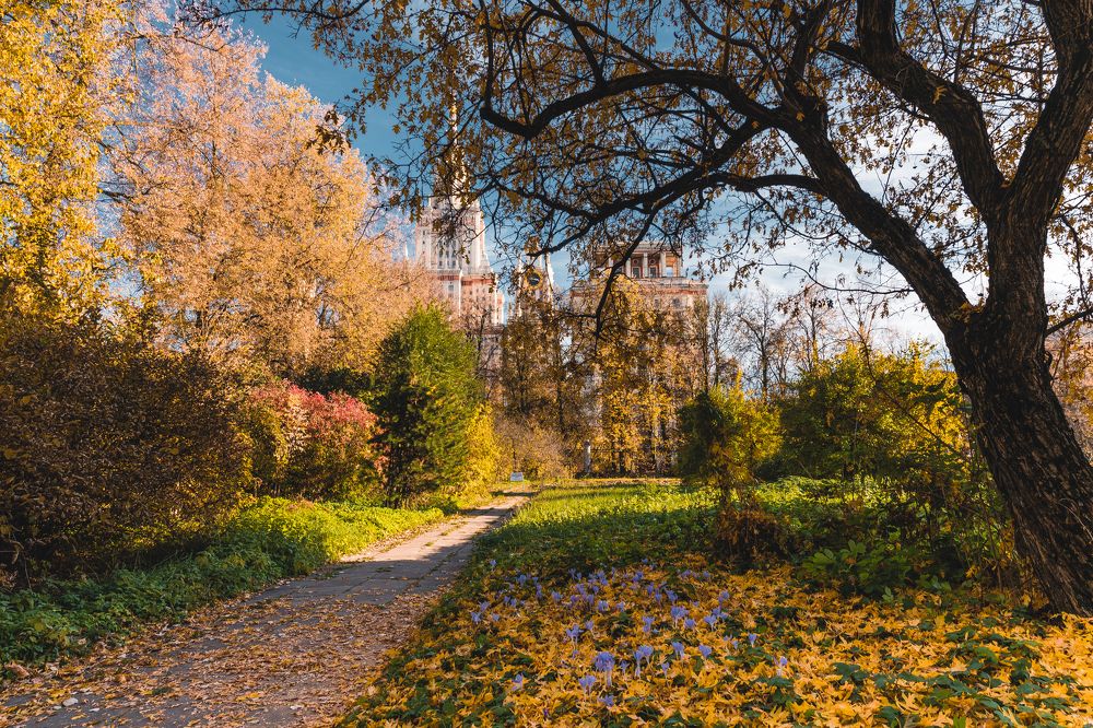 Photograph by Дмитрий Трепольский