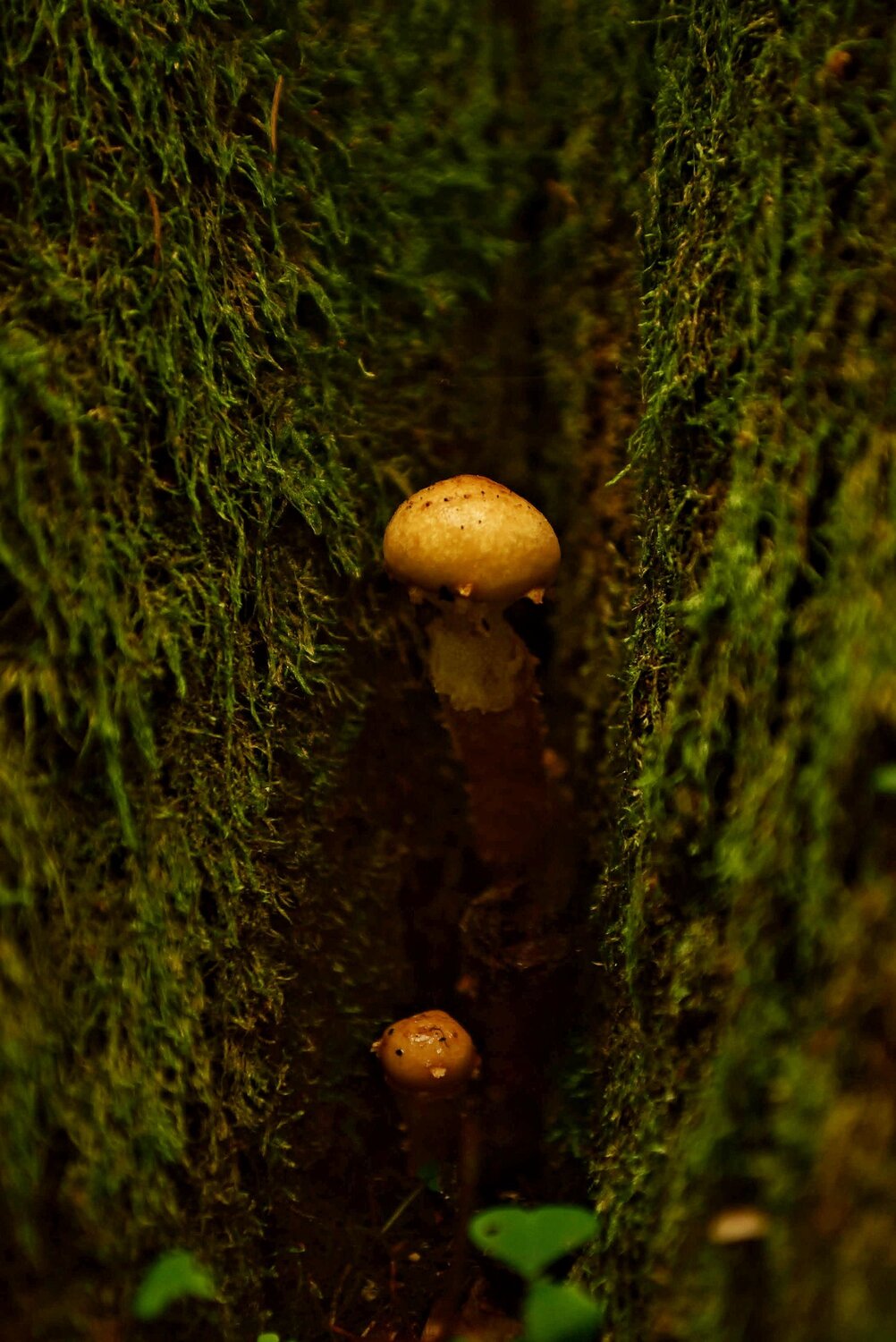 Photo #6690159