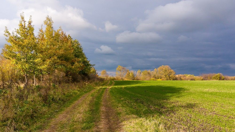 Уж небо осенью дышало...