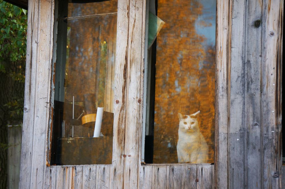 Photograph by Блюмина Елена