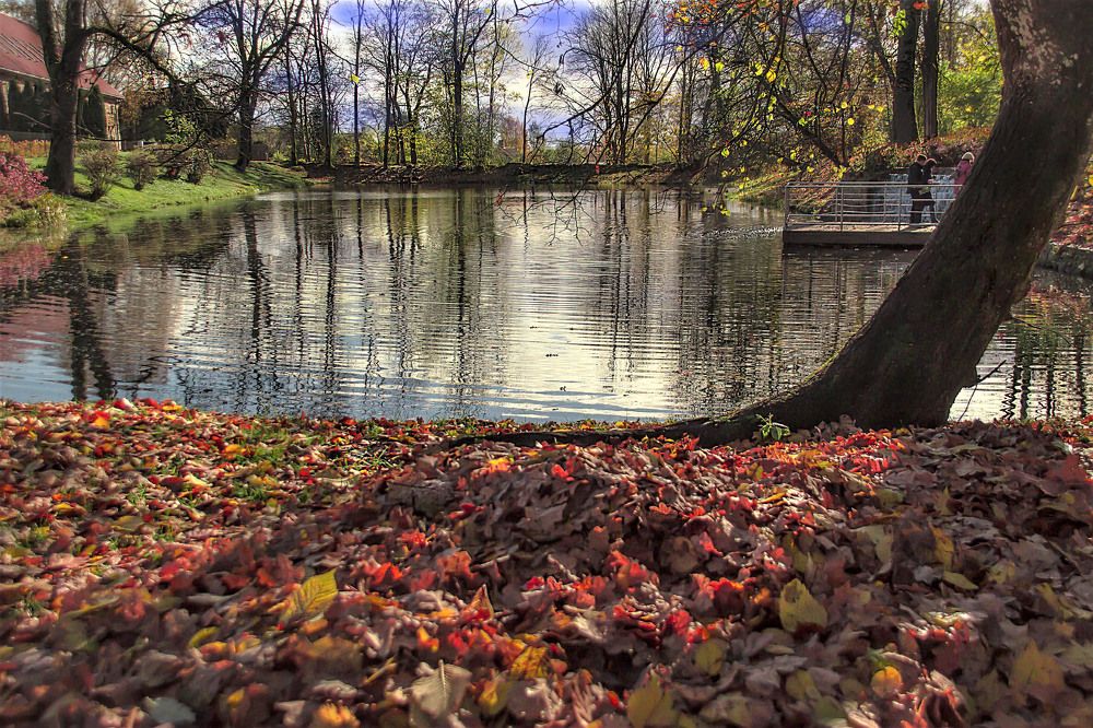 Photograph by Germans Alenins