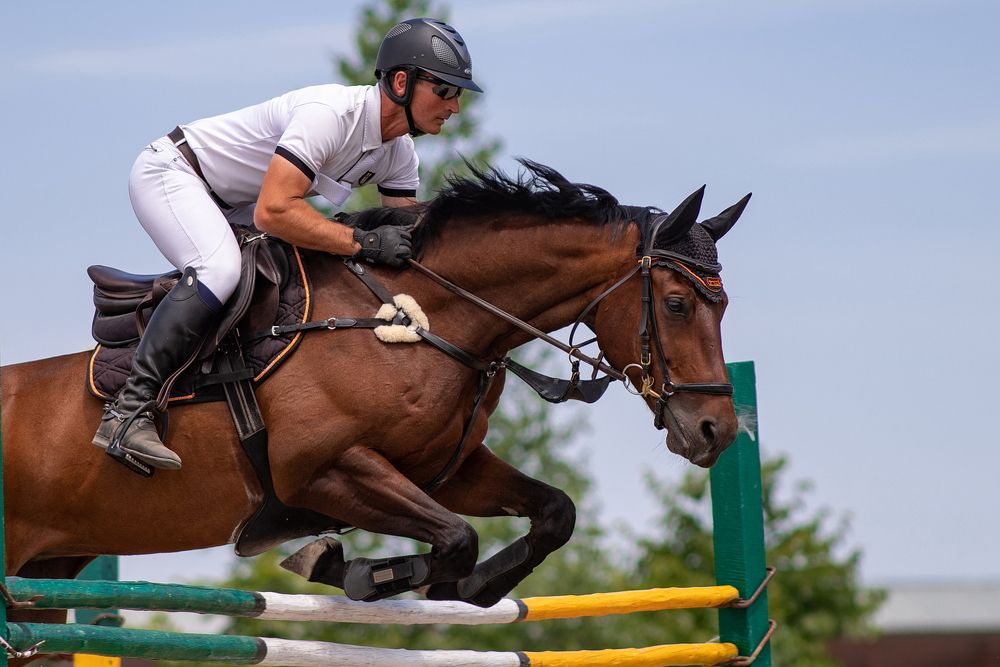 Photograph by Арсен Алабердов