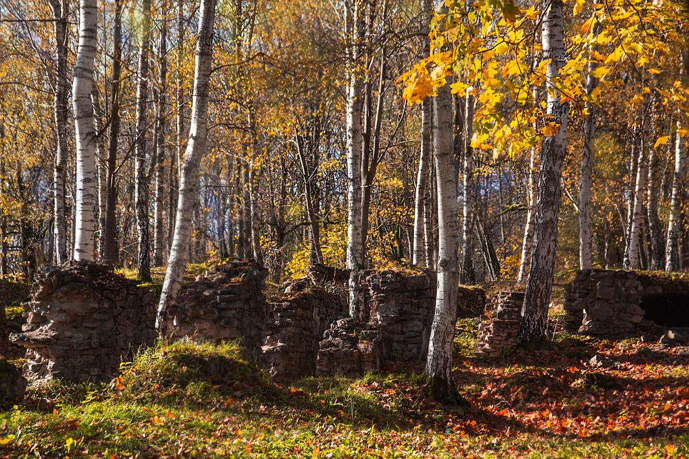 Photograph by Germans Alenins