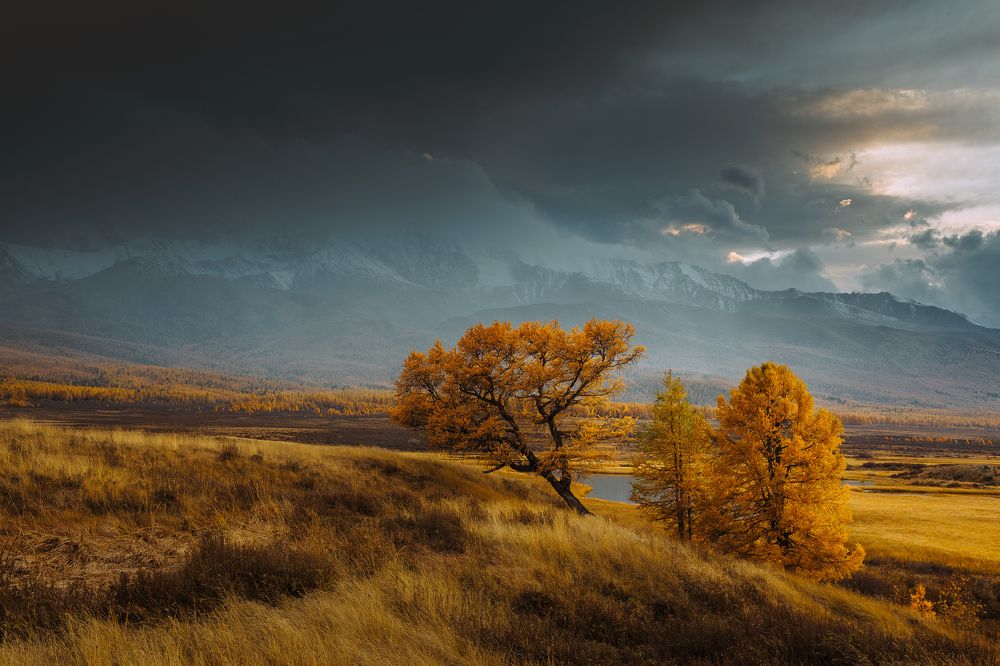 Photograph by Алексей Новиков