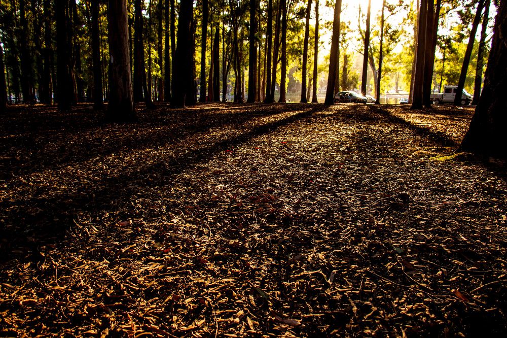 Photograph by Jorge Bagnuoli