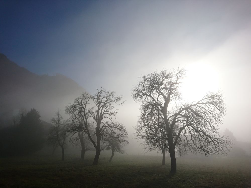 Photograph by Victor Movila