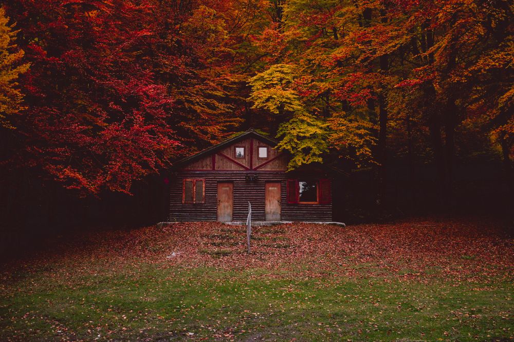 Photograph by Кристина Гайсина