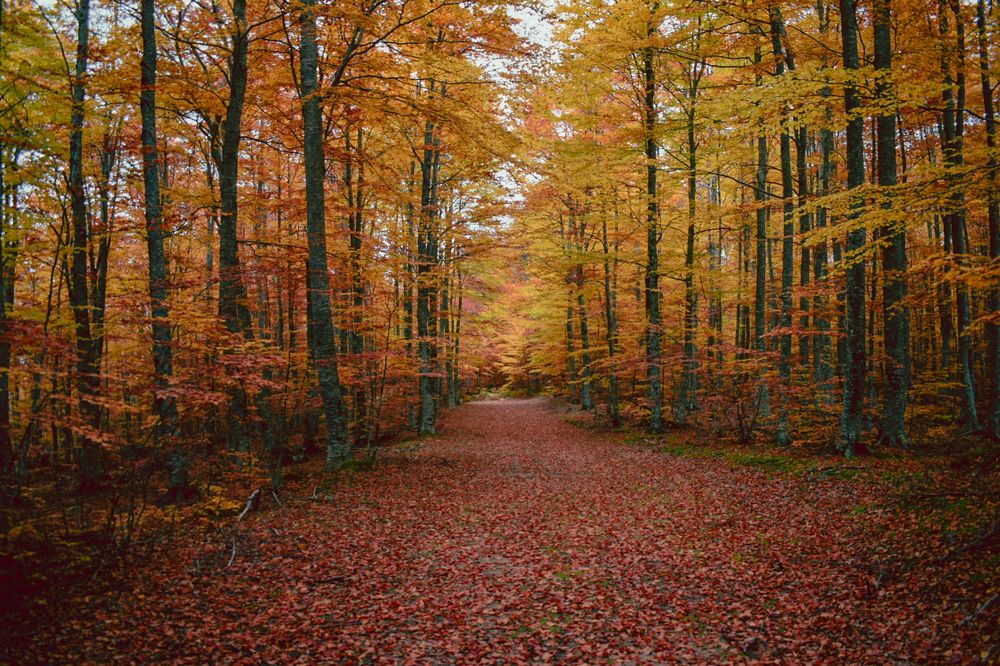 Photograph by Кристина Гайсина