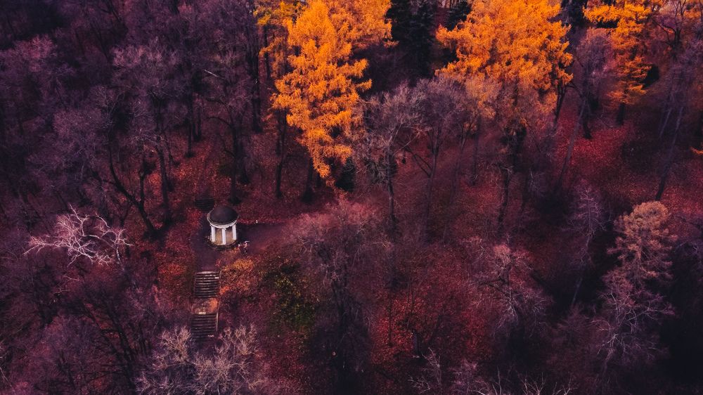 Photograph by Кононенко Владимир