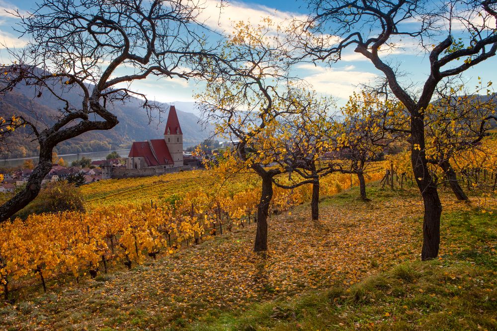 Photograph by Геннадий