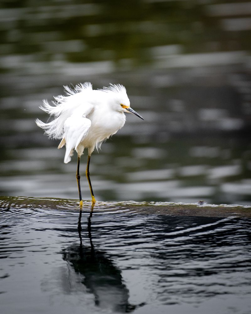 Photograph by Alejandro Cifuentes